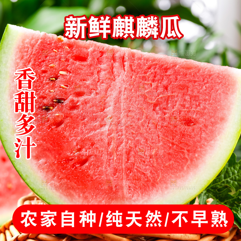 篮子上放着8424麒麟瓜