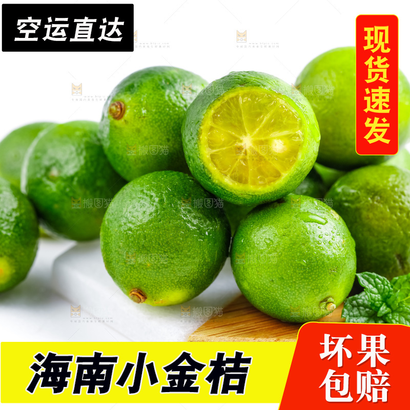 浅底上摆放海南小青桔