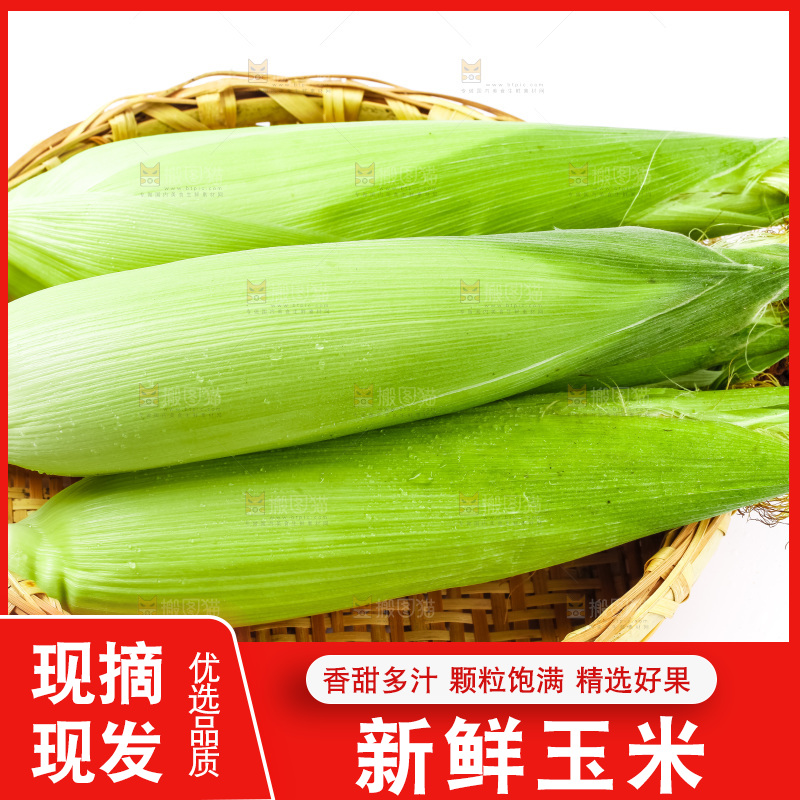 篮子里装着苞谷