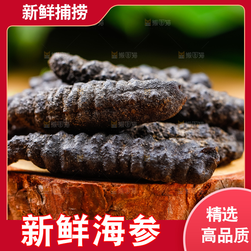 木底上摆放着海刺参