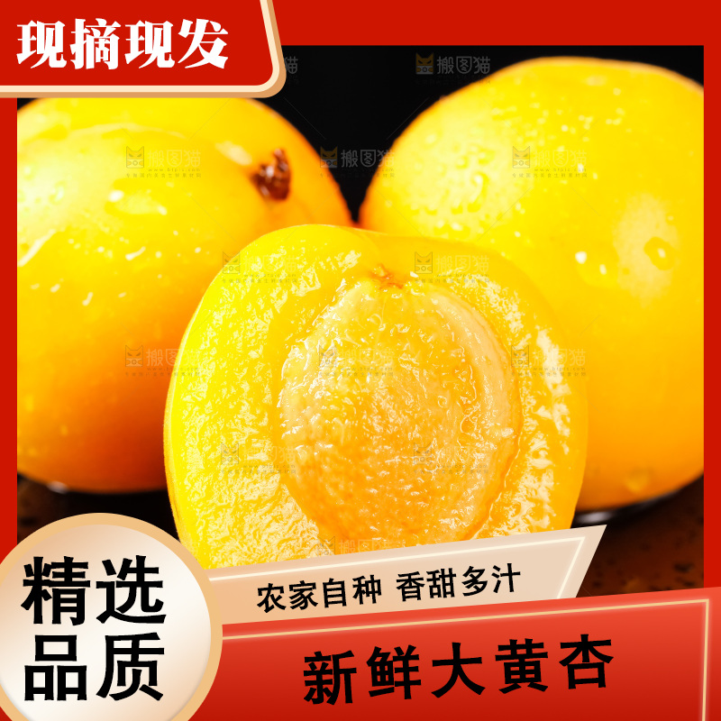 黑底上摆放着新鲜麦黄杏