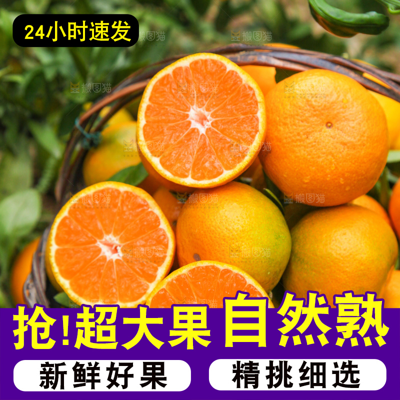 篮子里装着橘子