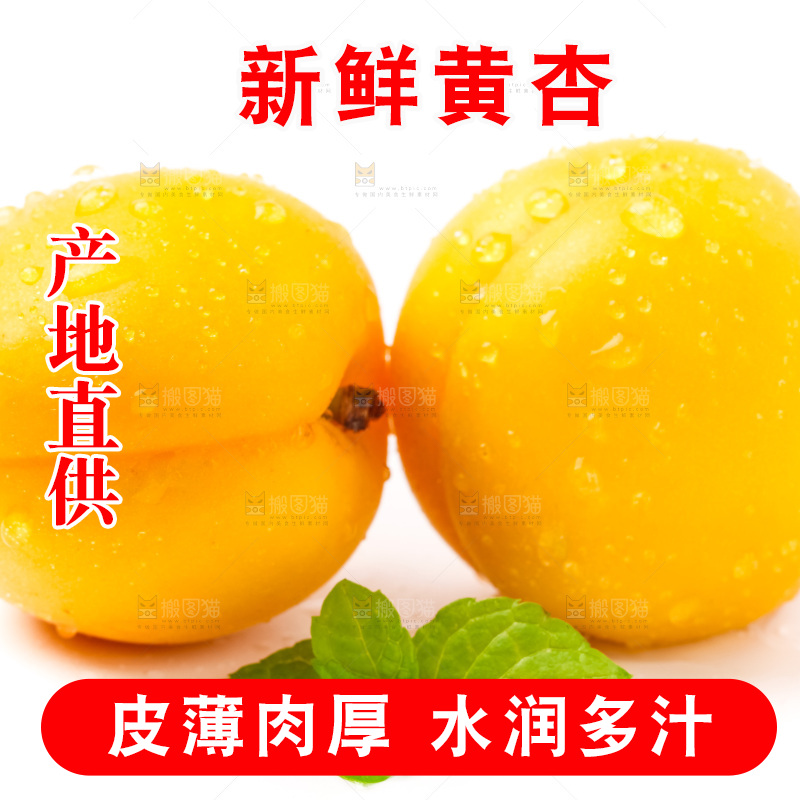 白底上摆放着麦黄杏