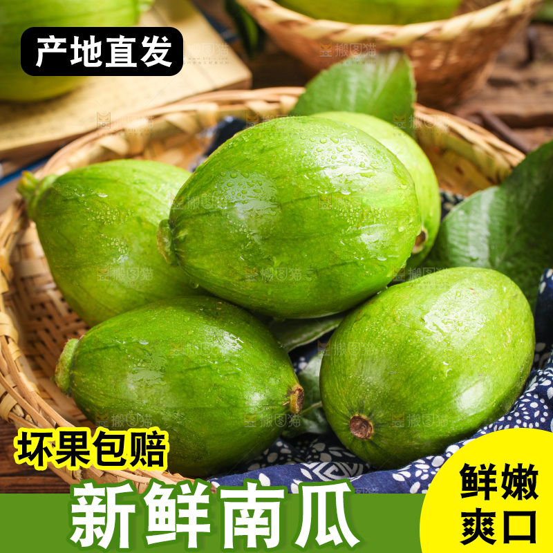篮子里装着嫩南瓜
