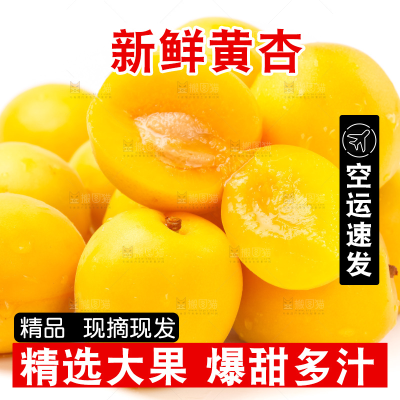 白底上放着大黄杏