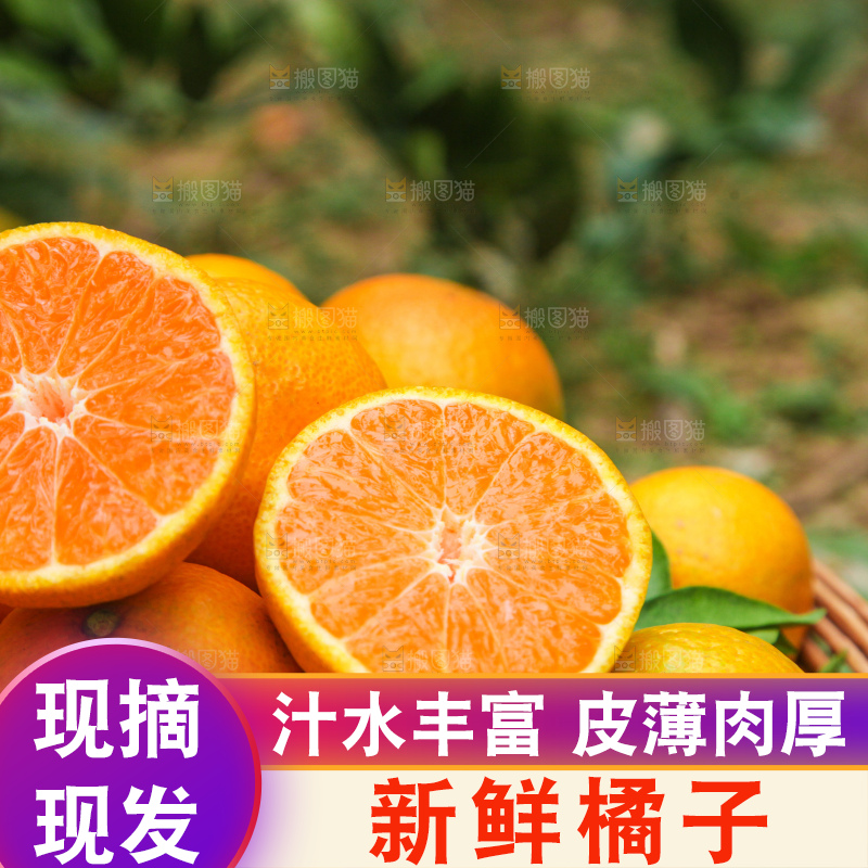 篮子里装着橘子
