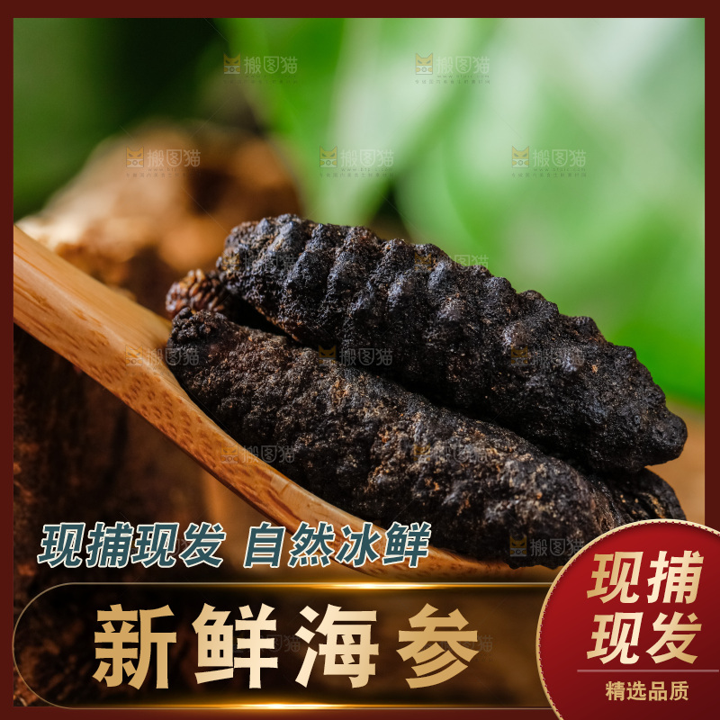 勺子上放着野生海参