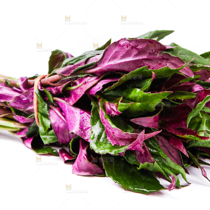 白底上摆放着血皮菜