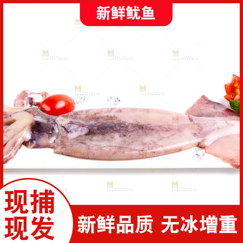 盘子里装着鱿鱼