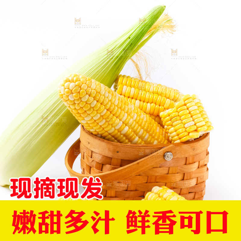 篮子里装着水果玉米