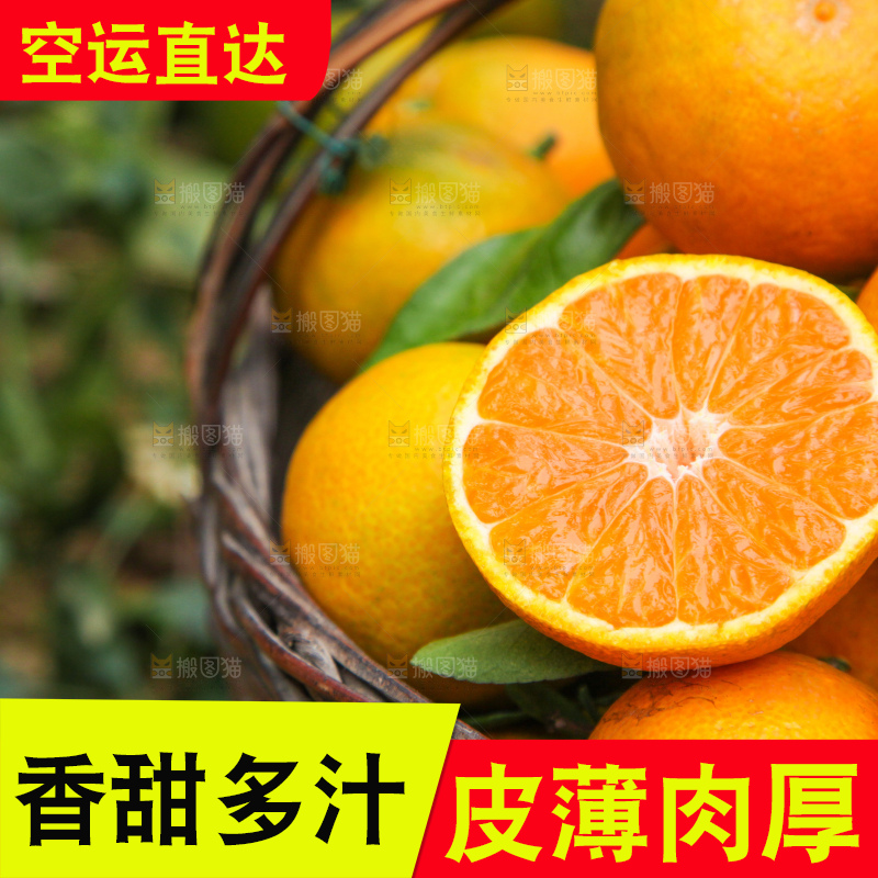 篮子里的新鲜橘子
