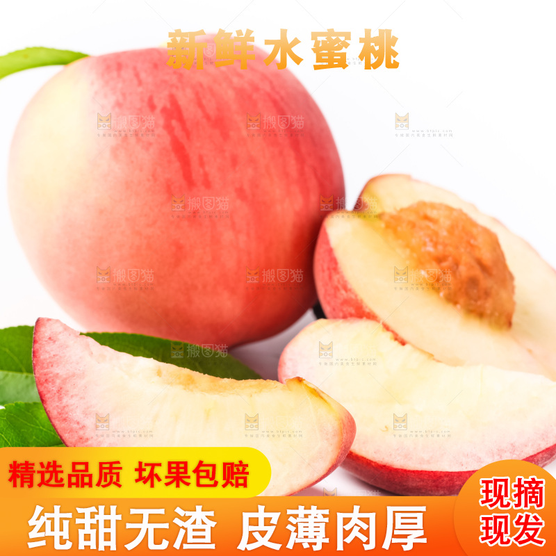 浅底上摆放着春雪水蜜桃