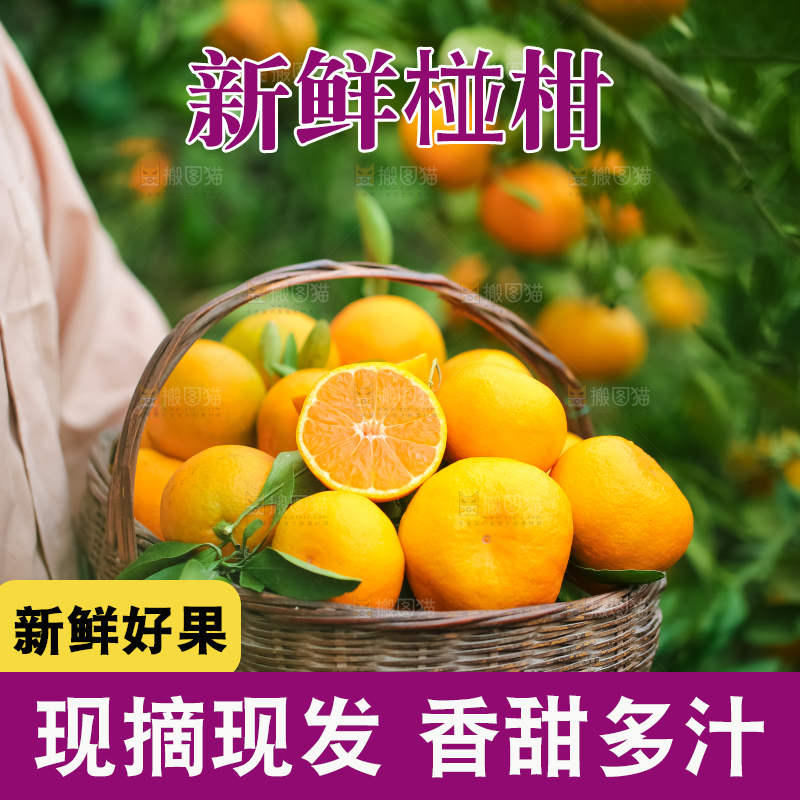 篮子里装着椪柑