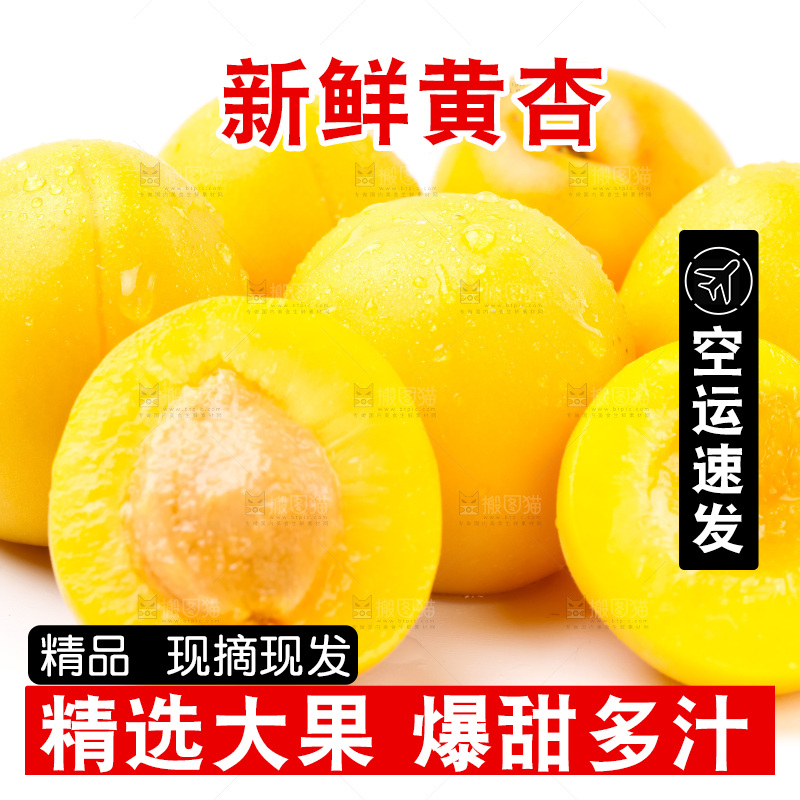 白底上放着大黄杏