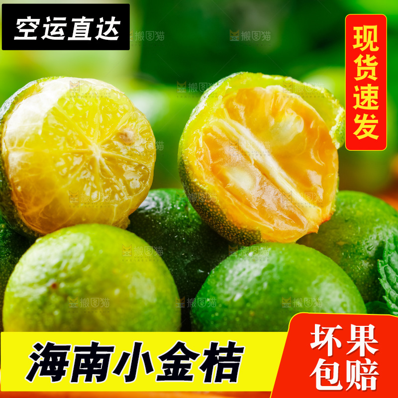 浅底上摆放着海南小金桔