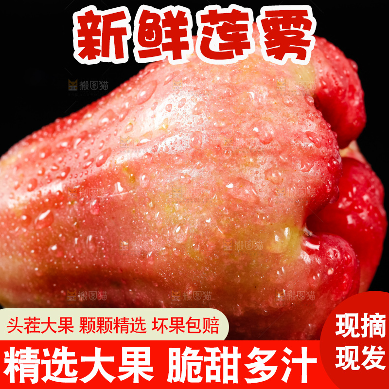 黑底上放着红宝石莲雾