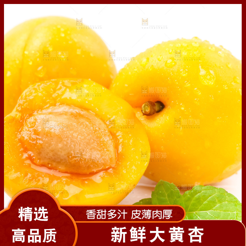 白底上摆放着麦黄杏