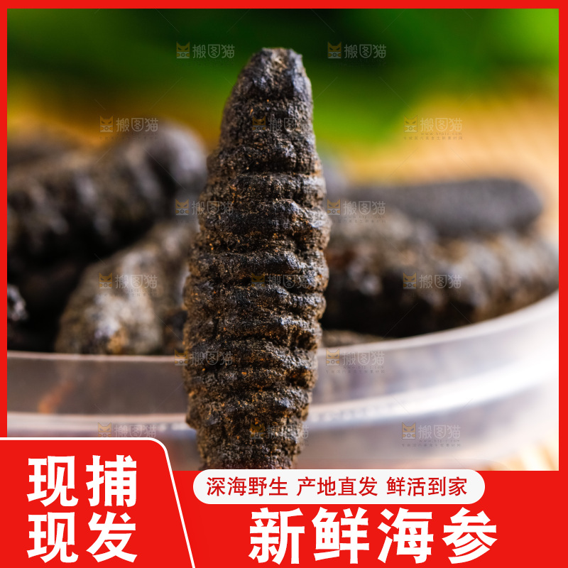 盘子里装着海参
