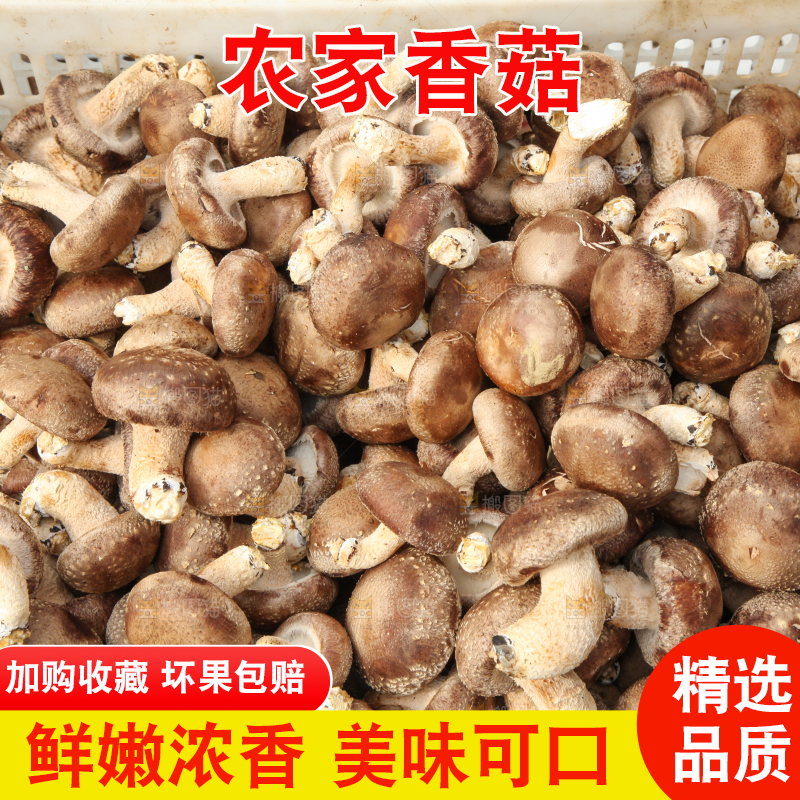 框子里装着香菇
