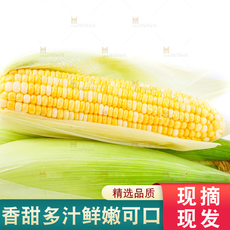 白底上放着黄玉米