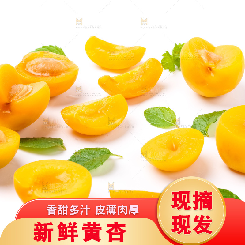 白底上摆放着杏子