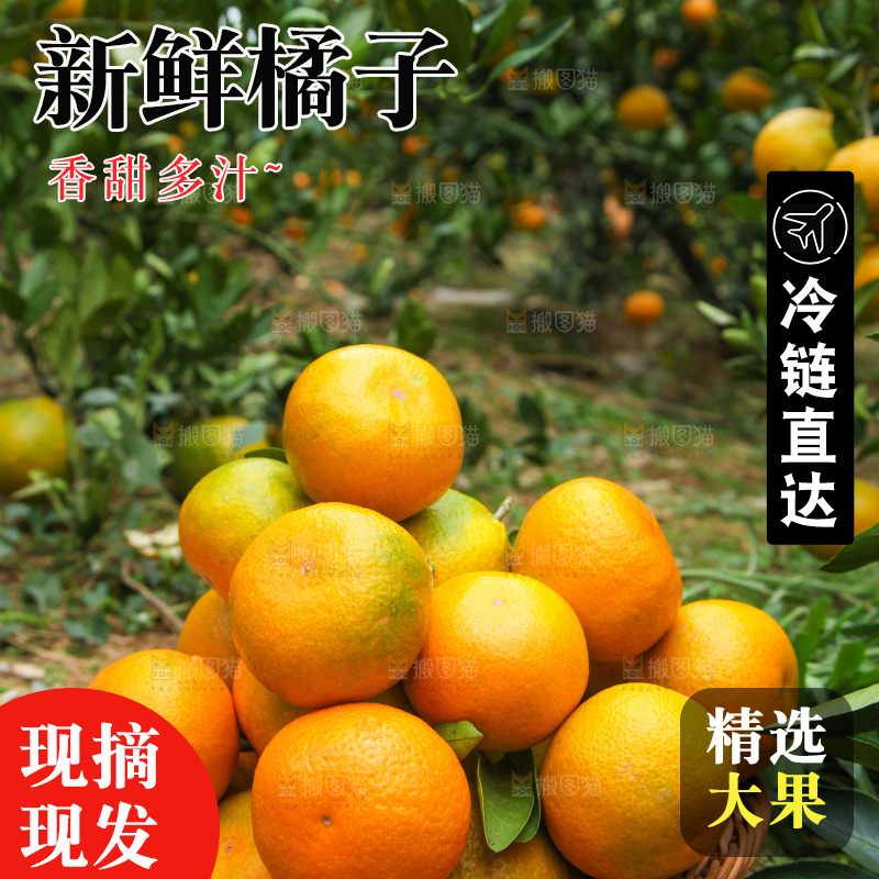 篮子里装着橘子