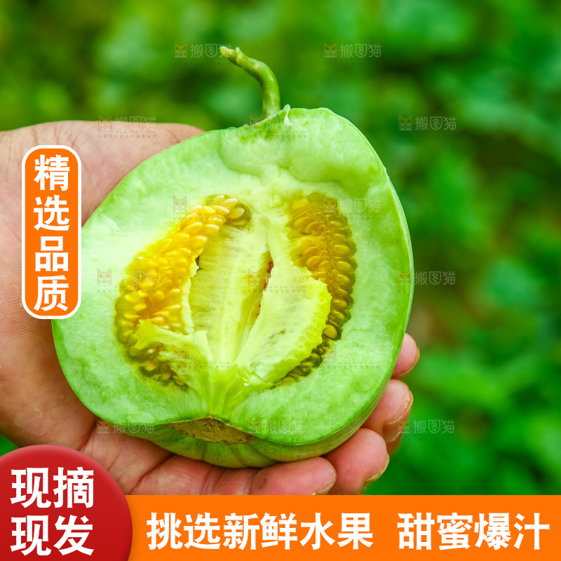 手里拿着绿宝石香瓜