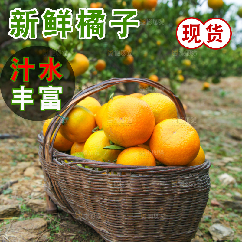 篮子里的蜜橘