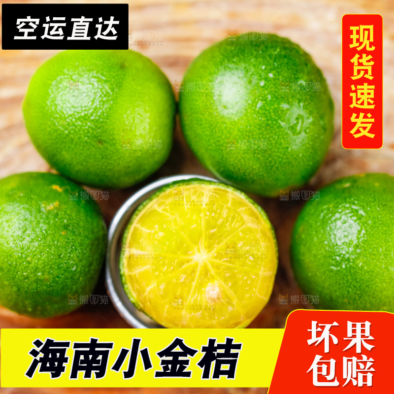木底上摆放着海南小金桔