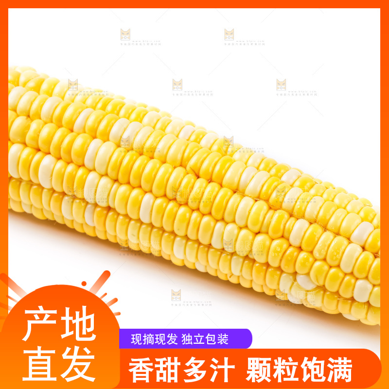 白底上摆放着甜玉米