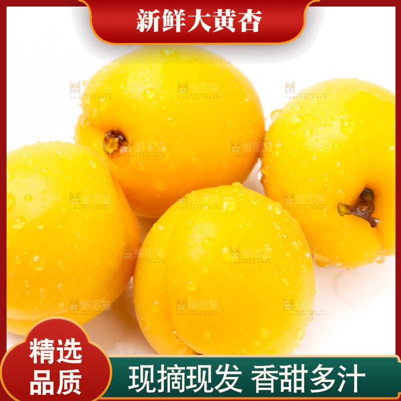 白底上摆放着麦黄杏