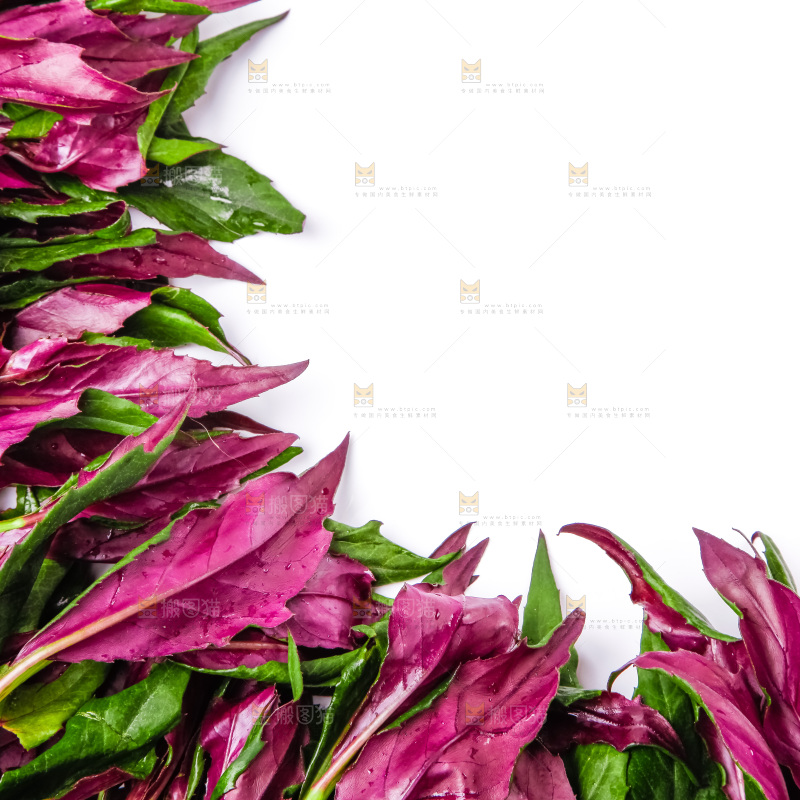 浅底上放着紫背菜