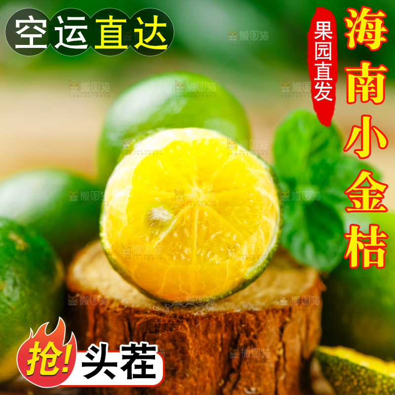 木底上摆放着海南小金桔