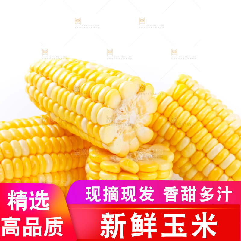 白底上摆放着玉米