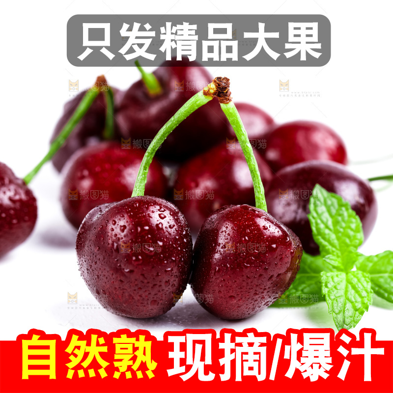 白底上摆放大连黑珍珠樱桃