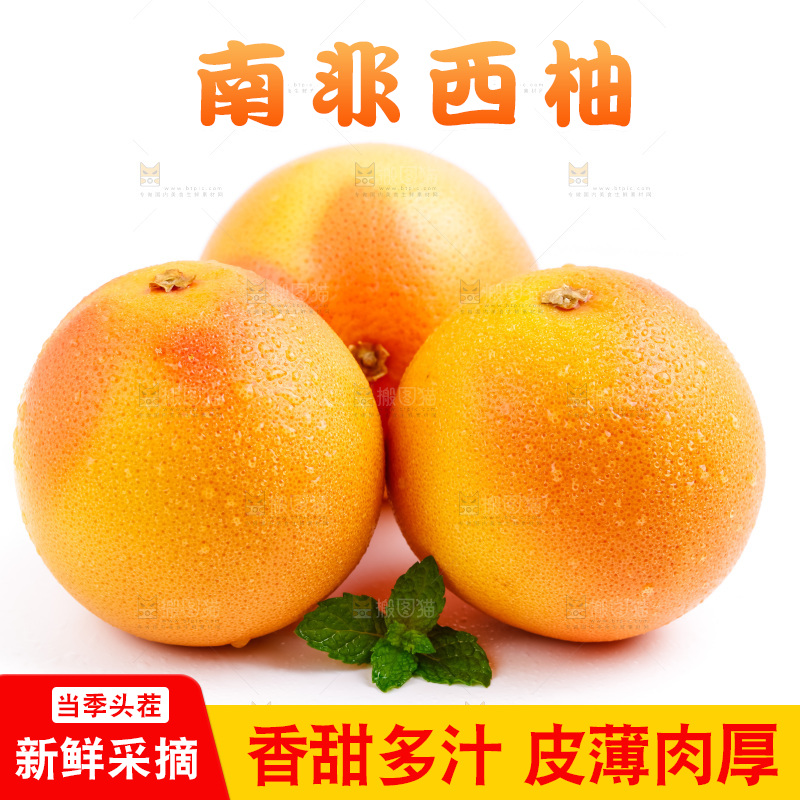 白底上摆放着南非西柚