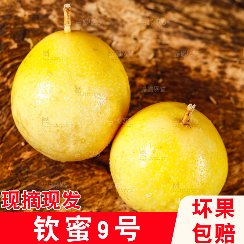 深底上摆放着黄金百香果
