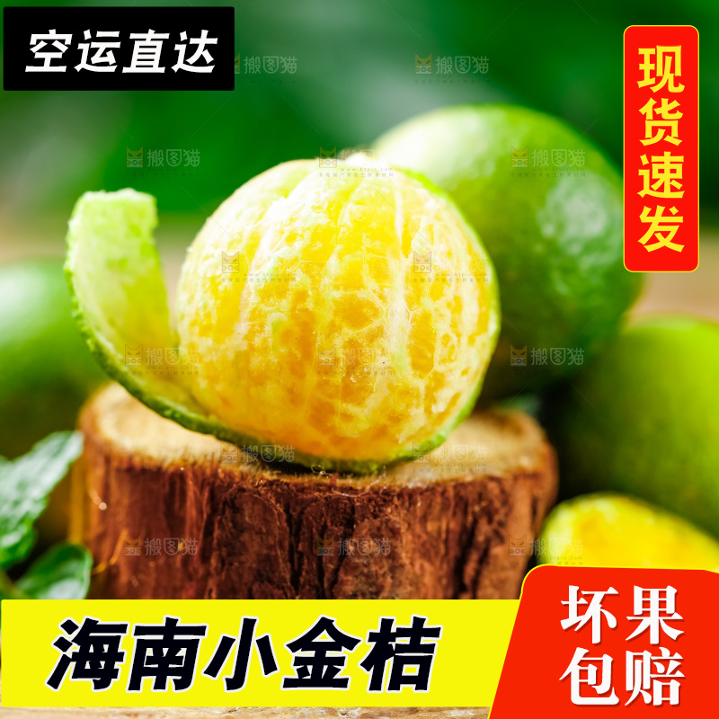 木底上摆放着海南小金桔