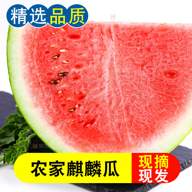 黑石板上摆放着麒麟瓜