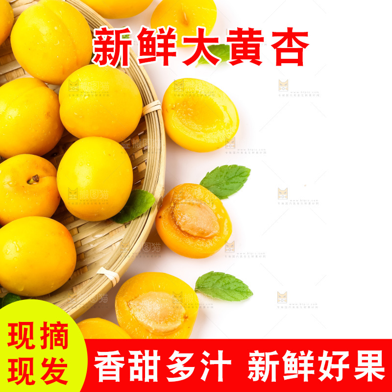 篮子里装着杏子