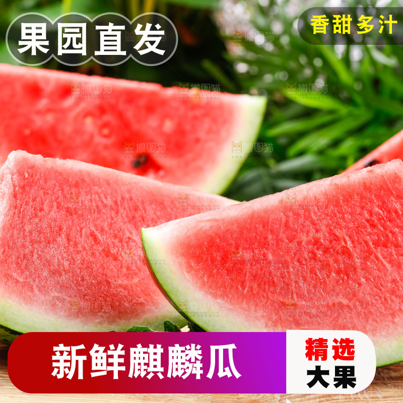 木底上摆放着西瓜