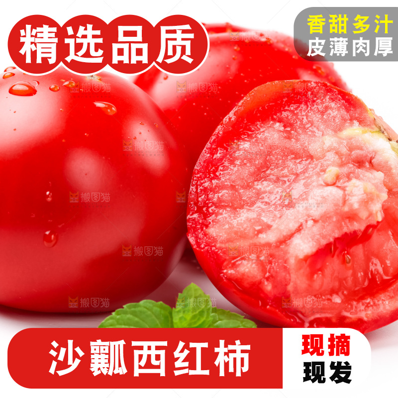 白底上摆放着沙瓤西瓜柿