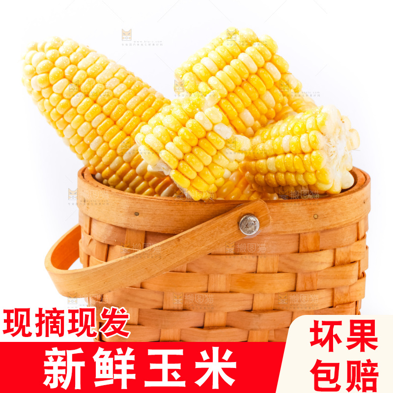 篮子里装着黄玉米