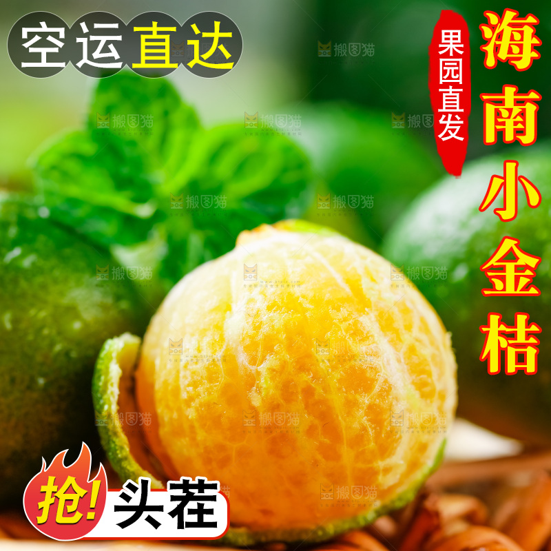 浅底上摆放着海南小金桔