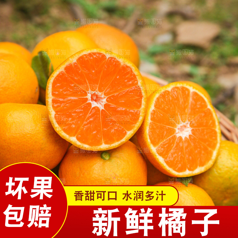 篮子里装着橘子