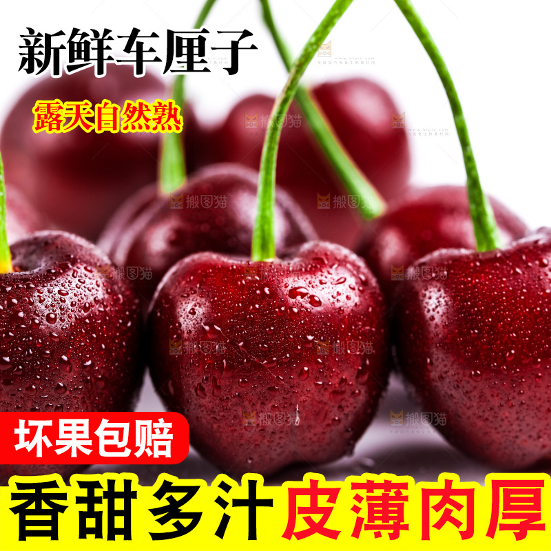 白底上的黑珍珠樱桃