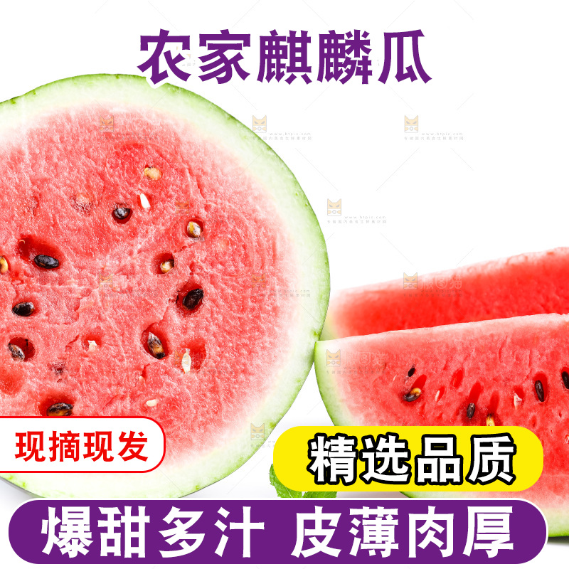 白底上摆放着麒麟瓜