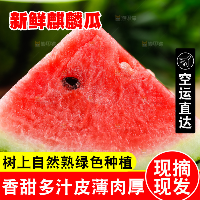 黑石板上摆放着麒麟瓜