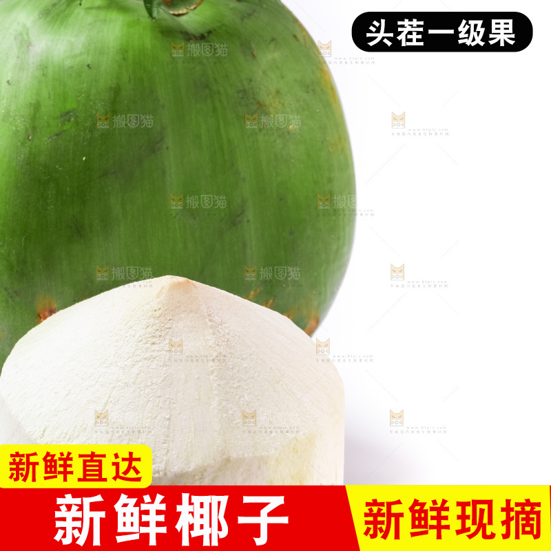白底摆放着椰子
