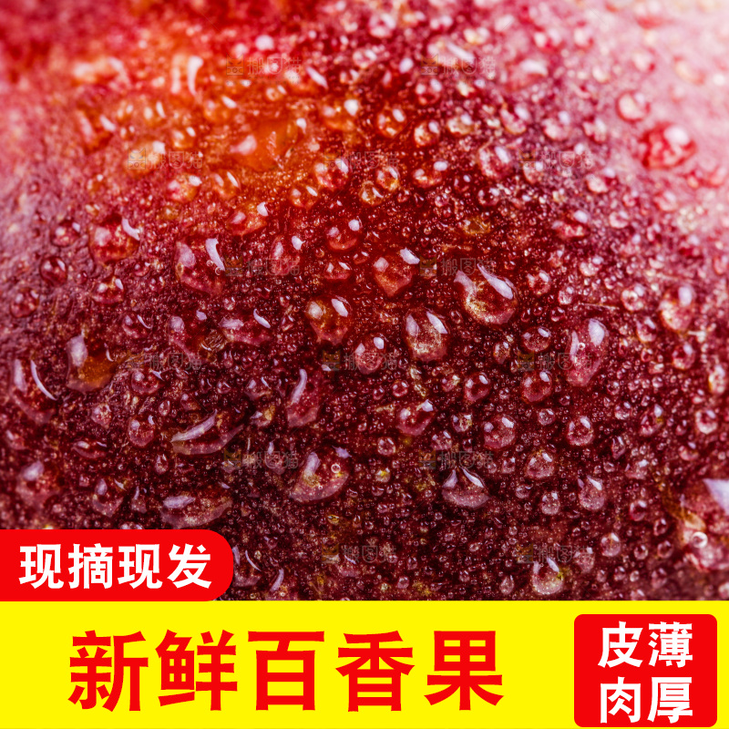 白底上摆放着紫皮百香果